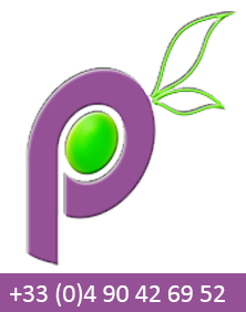 perledeprovence